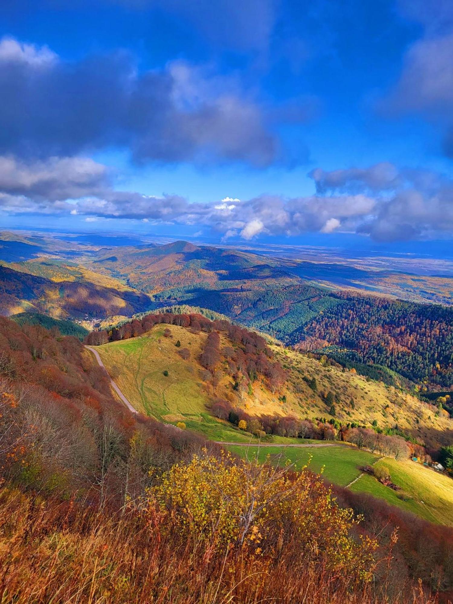 Le Panorama Du Murat Mulhouse 68 Haut-rhin Alsace Saint-louis Riedisheim